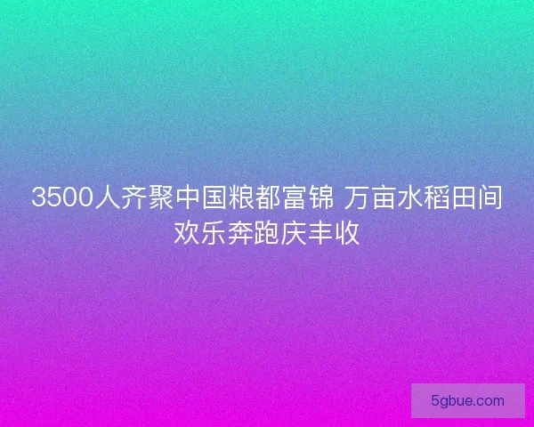 3500人齐聚中国粮都富锦 万亩水稻田间欢乐奔跑庆丰收