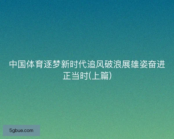 中国体育逐梦新时代追风破浪展雄姿奋进正当时(上篇)